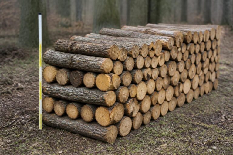 découvrez combien de mètres cubes équivaut un stère de bois et comprenez cette unité de mesure utilisée pour le bois de chauffage.